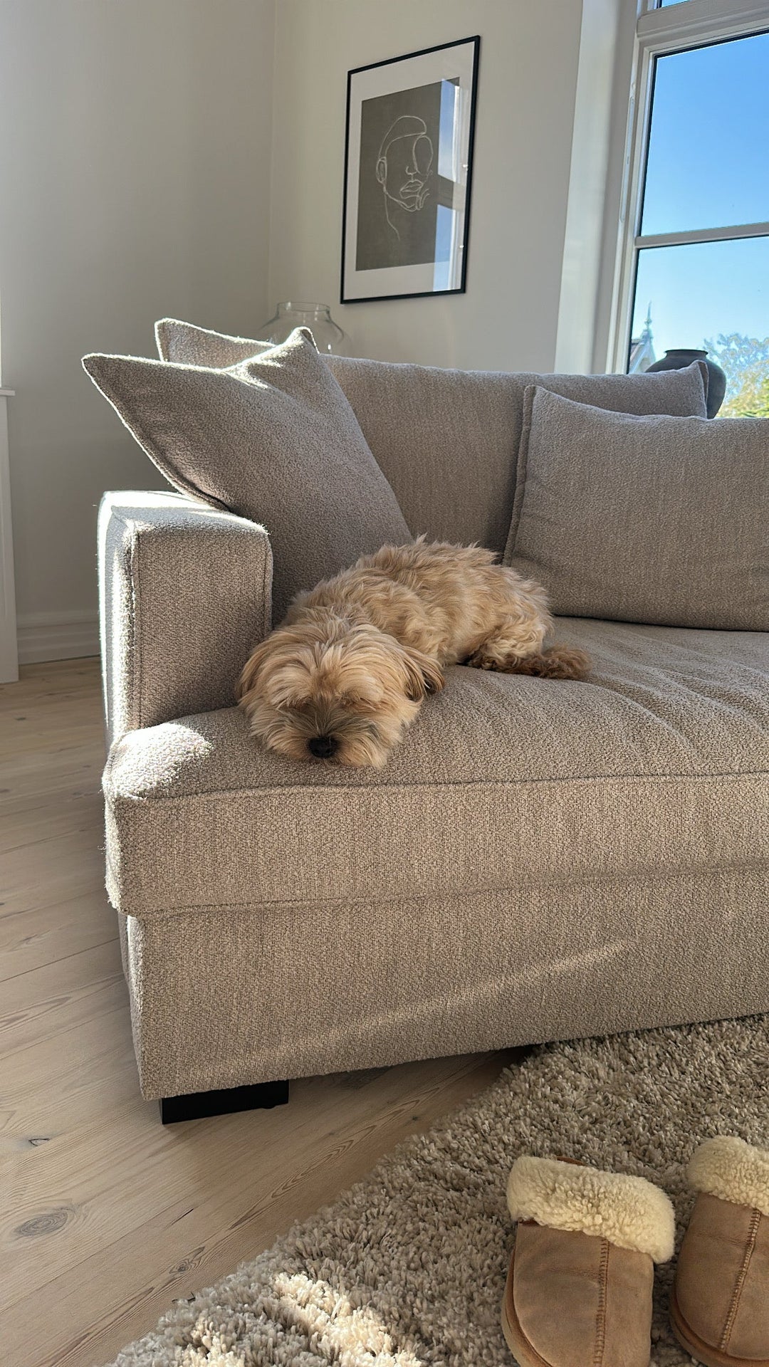 Lille sofa – sådan vælger du den rigtige til små rum